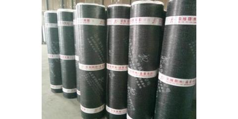 山东sbs耐根穿刺防水卷材